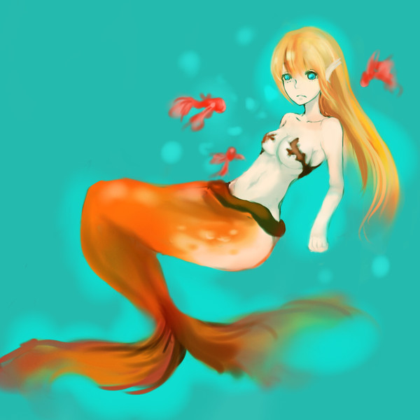 金魚
