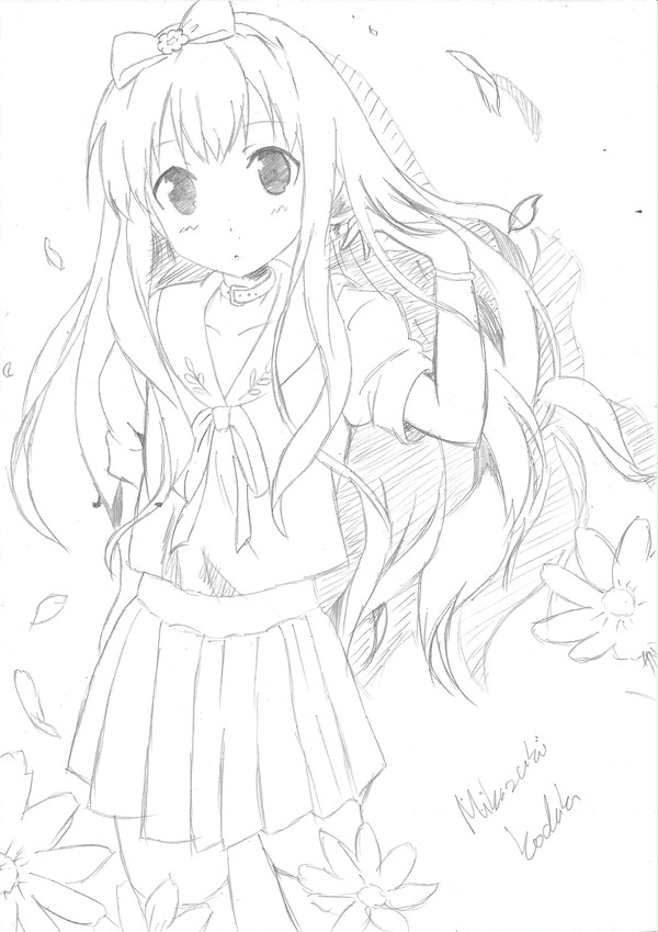 小豆梓