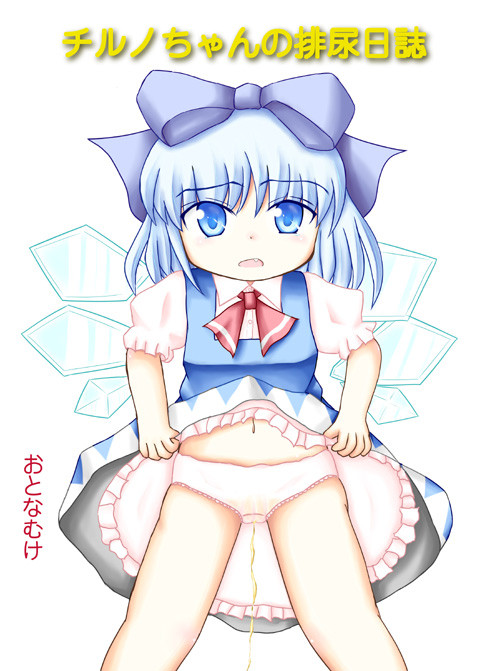 チルノちゃんの排尿日誌