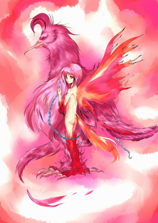 鳳凰ちゃん