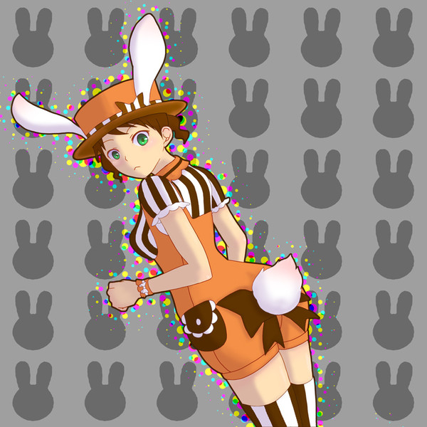 うさしっぽである