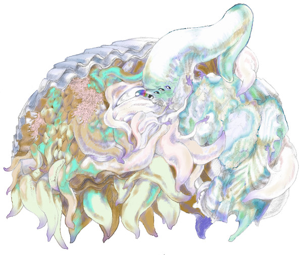 ファンシー系邪神BL