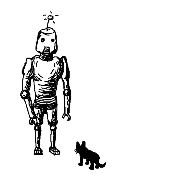 黒猫