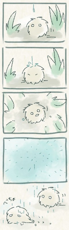 梅雨ですね。