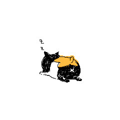 いぬつめ