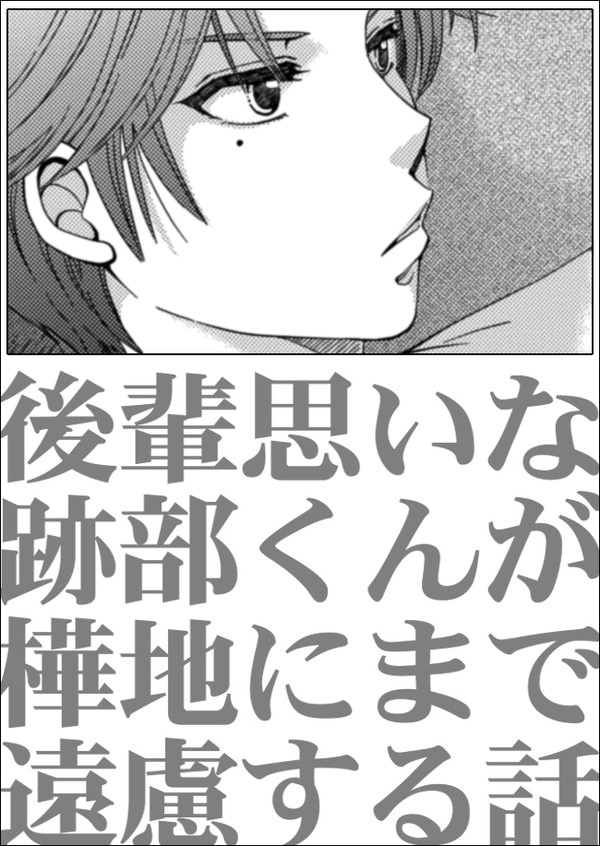 樺跡未満な氷帝主従