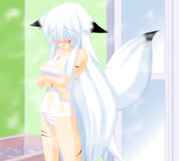盲目狐