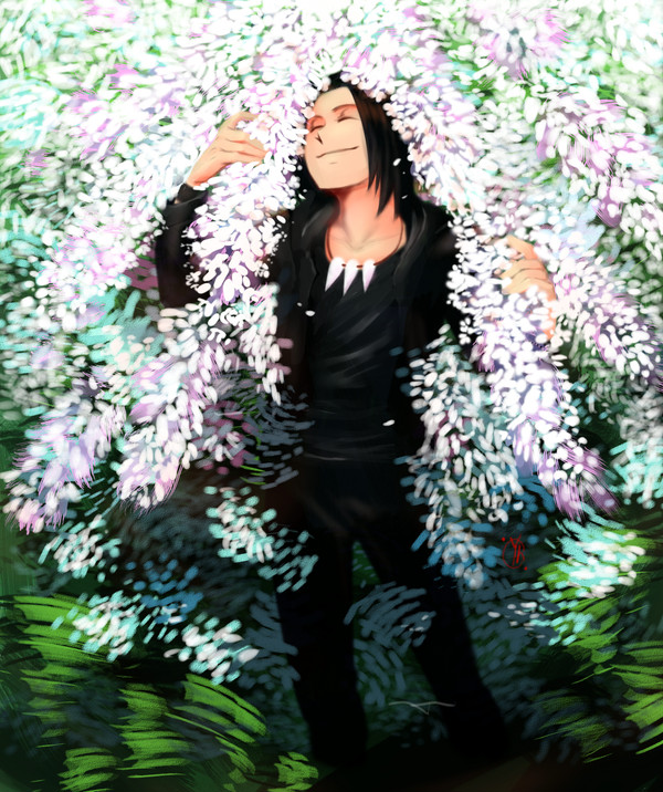 Apple Tree