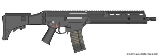 G36 Custom(6)