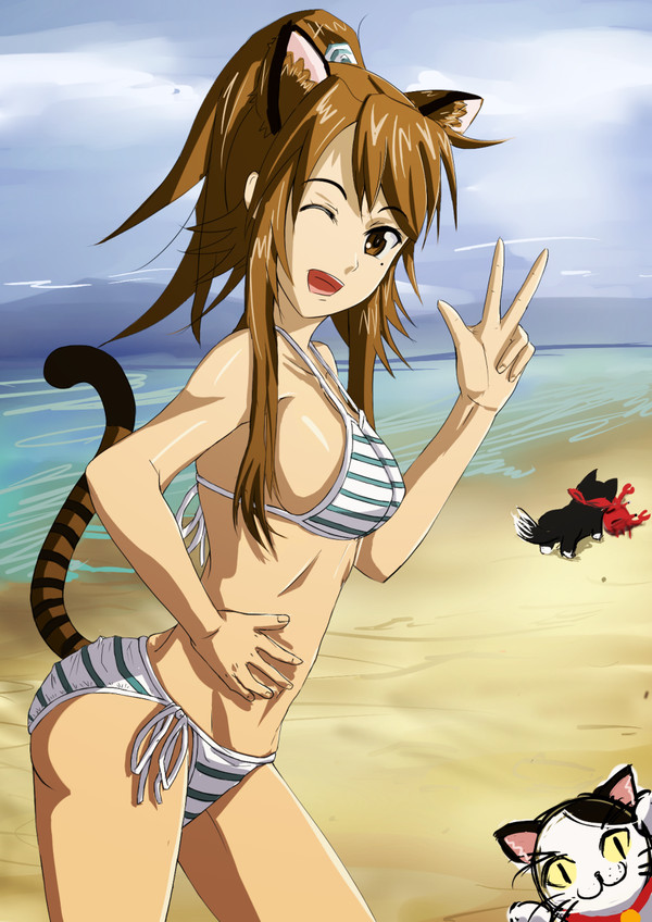 にゃんこも海水浴に行きたい時期になって参りました