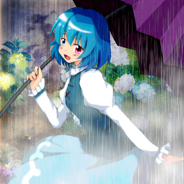 雨、シトシト、紫陽花園にて・・・(小傘ちゃん