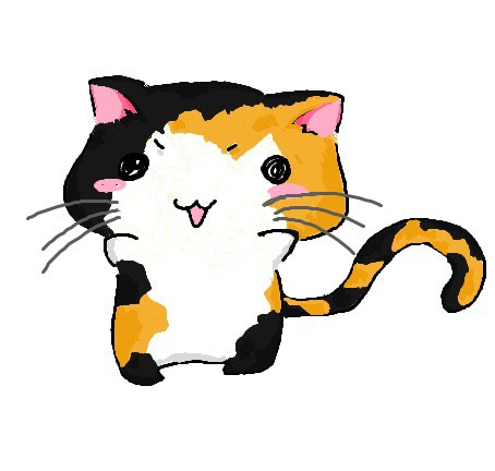 三毛猫