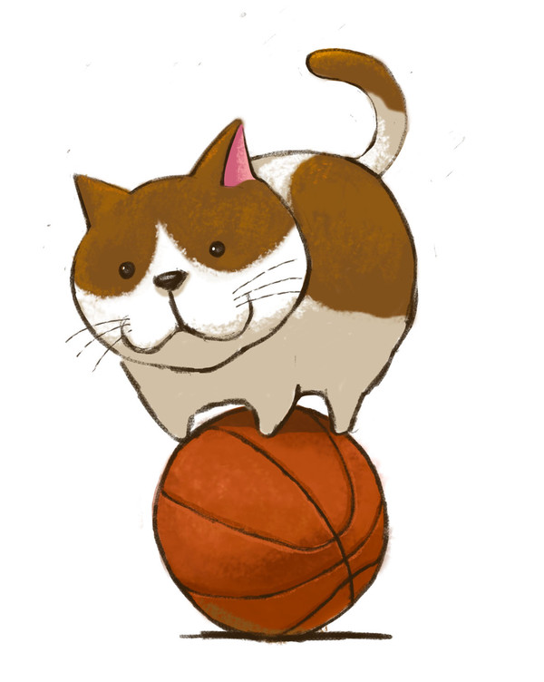 猫