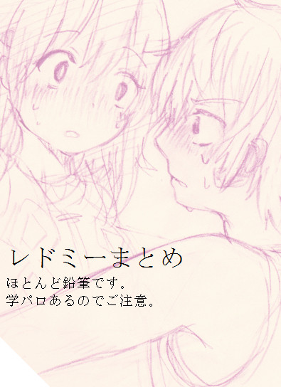 レドミーまとめ
