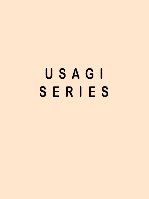 USAGI SERIES