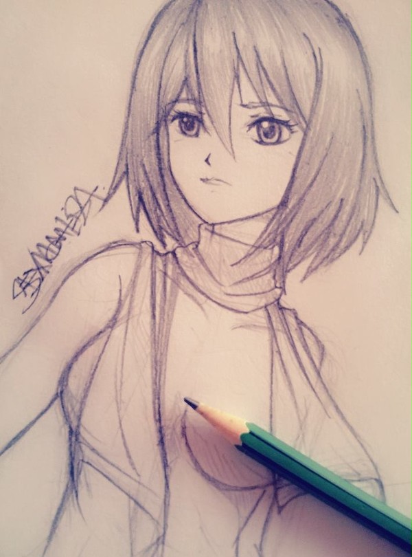 Mikasa