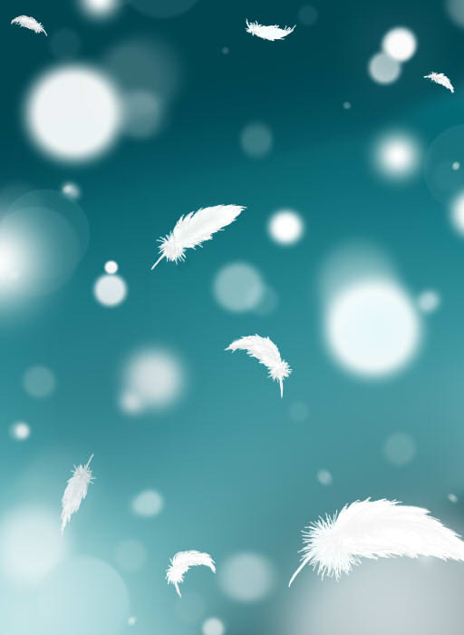 羽