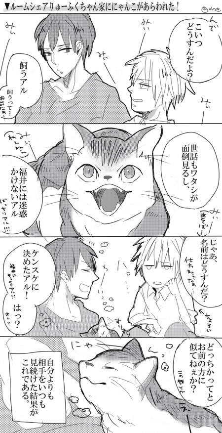 ねこさんがあらわれた！