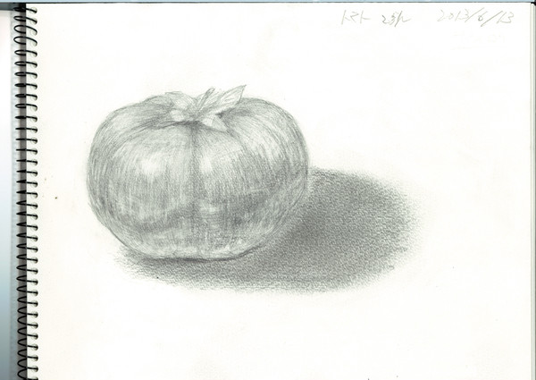 tomato/2.5h/20130613