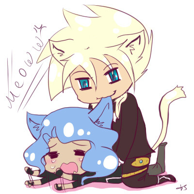 Cats