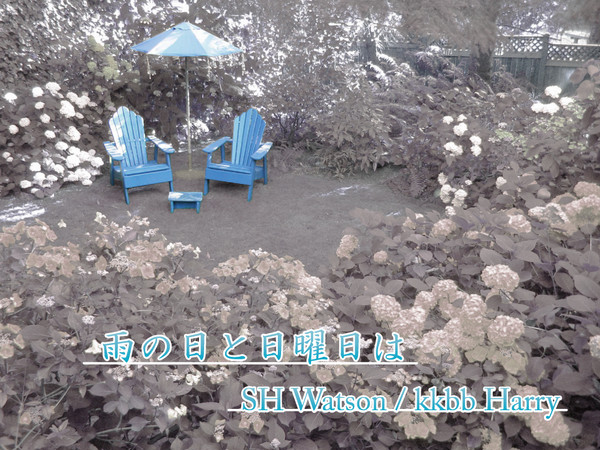 【ワトハリ】雨の日と日曜日は