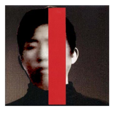 法政の技法