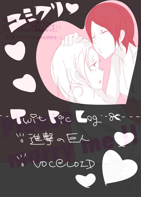 ついぴくろぐ