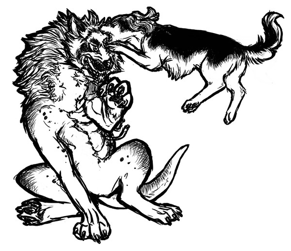 Silver Fang/Ginga log 1