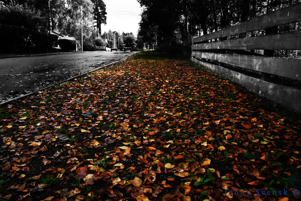 The long road