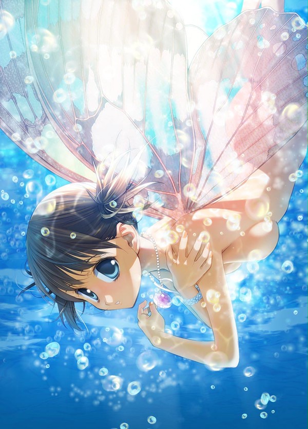 【C84新刊表紙】　Nightwing 【クロートー】