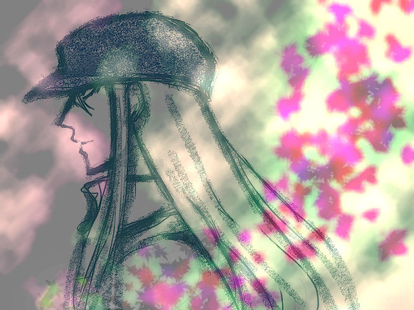 カイトさん