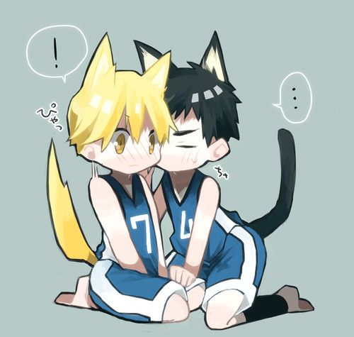 黄笠ちゃん