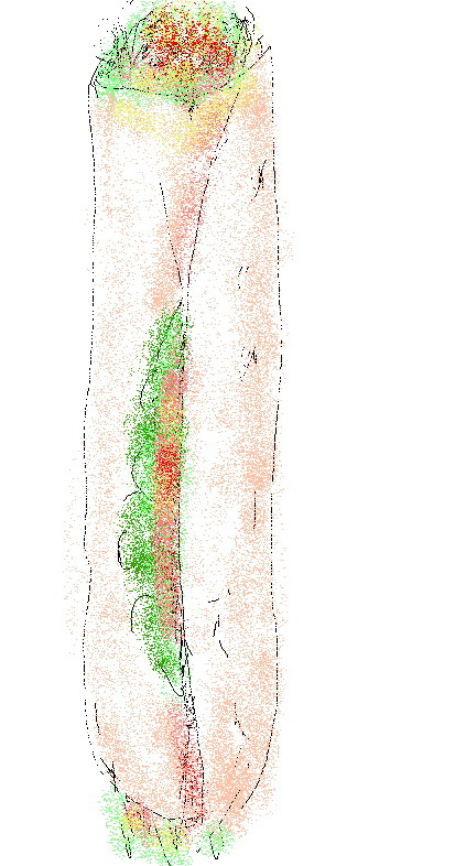 食物01