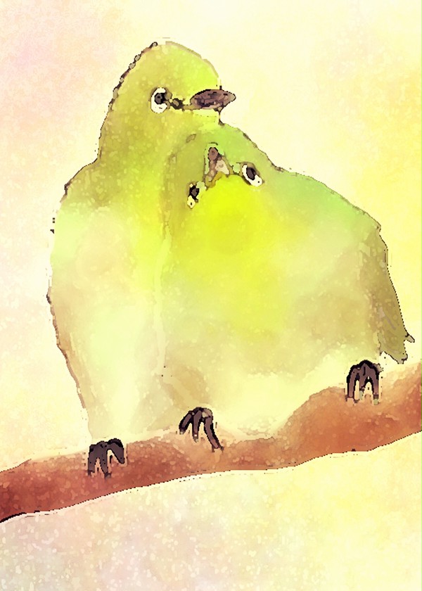 野鳥まとめ