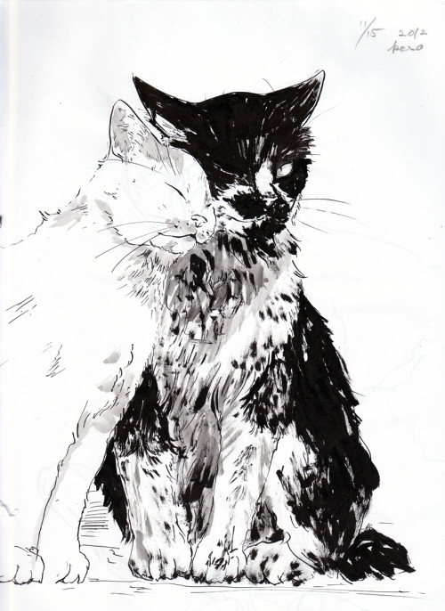 猫日和より