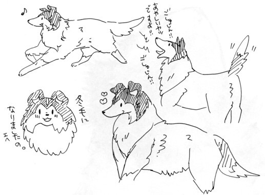 うちのこ