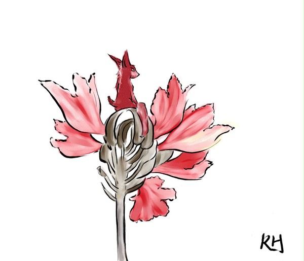 炎·火焰花