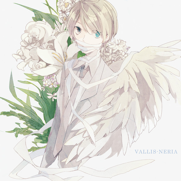 vallis