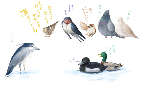ハイキュー野鳥化