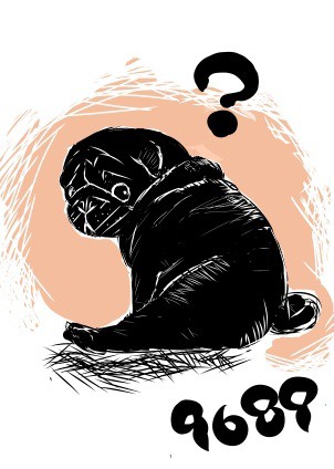黒パグ