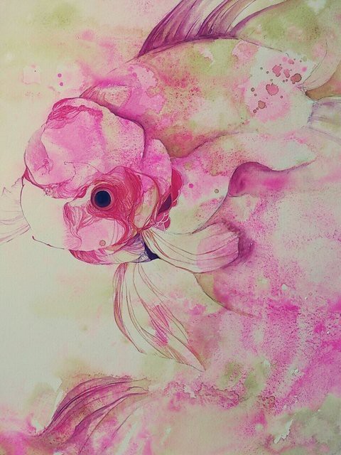 金魚