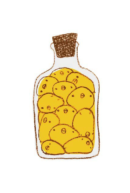 瓶詰めひよこさん