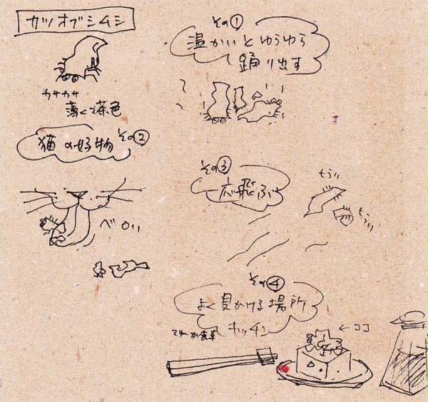 カツオブシムシ