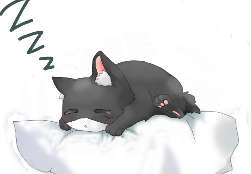 たまだけぬったったー