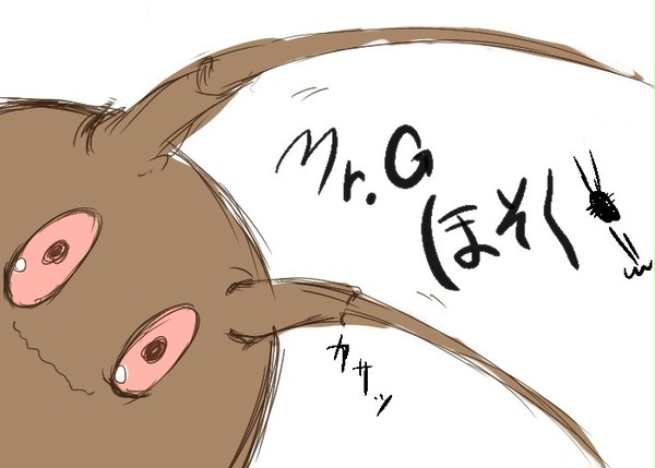 【ぴくカビ】Mr.G 補足