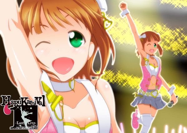 HaRuKarnival'13 -Last Live-