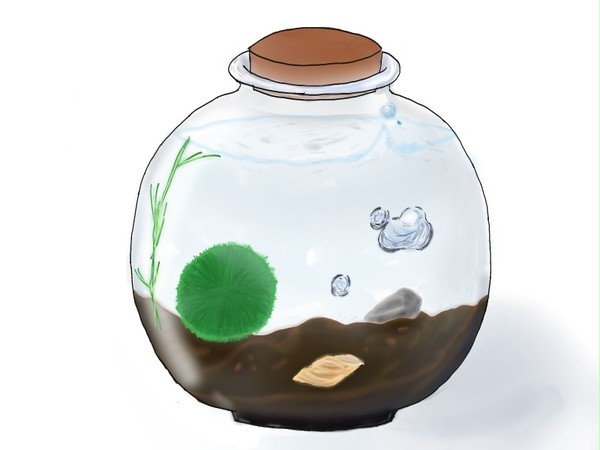 まりも