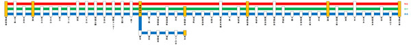 【宮電】仙石本線系統種別別停車駅一覧表