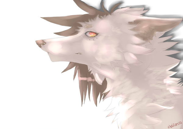 Empty Eyes