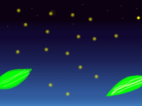 蛍の夜